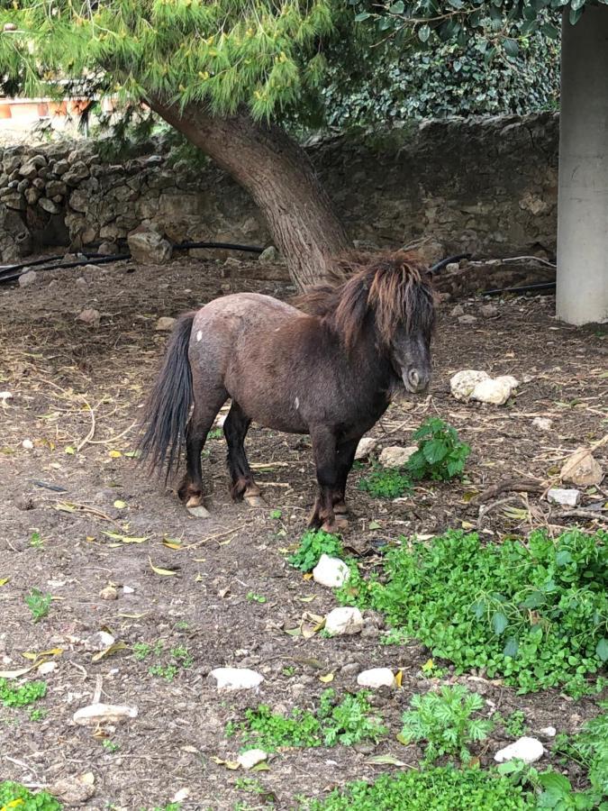 Casale Rocca Fiorita Panzió Acate Kültér fotó