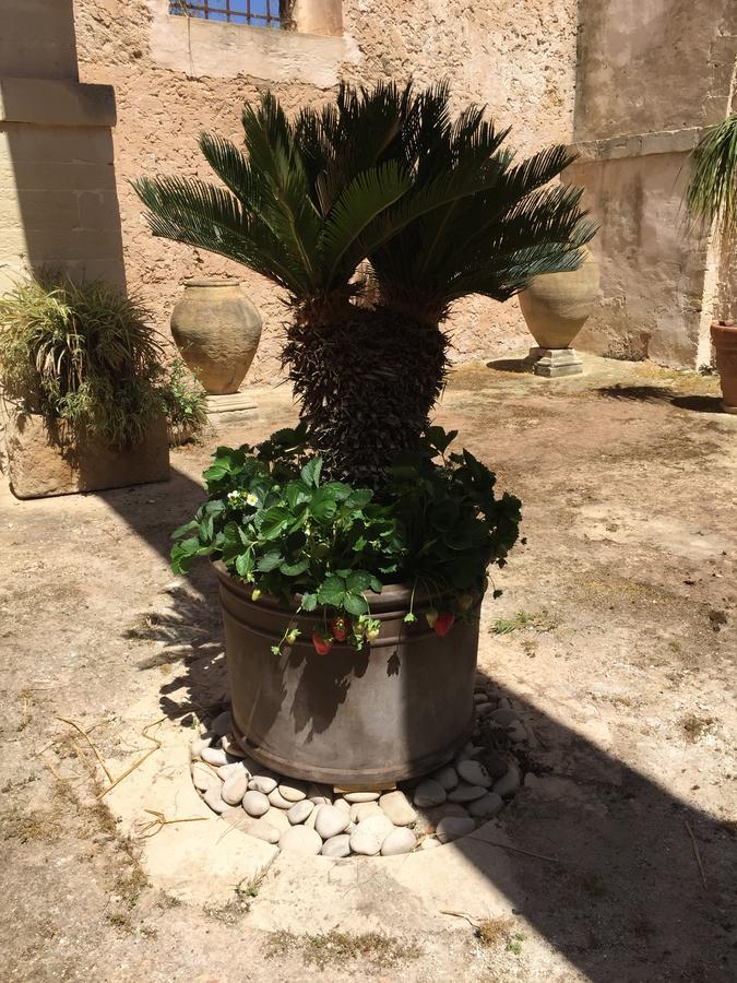 Casale Rocca Fiorita Panzió Acate Kültér fotó